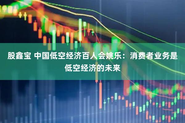 股鑫宝 中国低空经济百人会姚乐：消费者业务是低空经济的未来