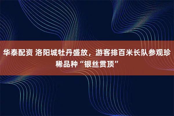 华泰配资 洛阳城牡丹盛放，游客排百米长队参观珍稀品种“银丝贯顶”